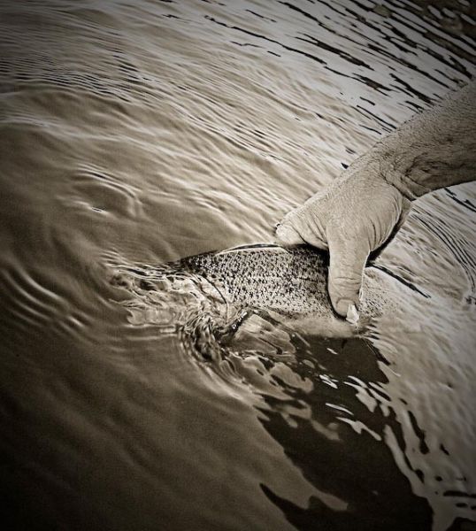 Back where you belong