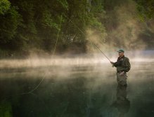 Donau in the Schwarzwald