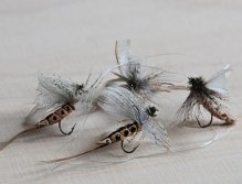 60 year old mayflies from Germany