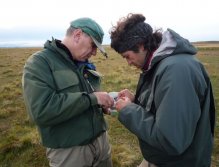 Choosing the right one