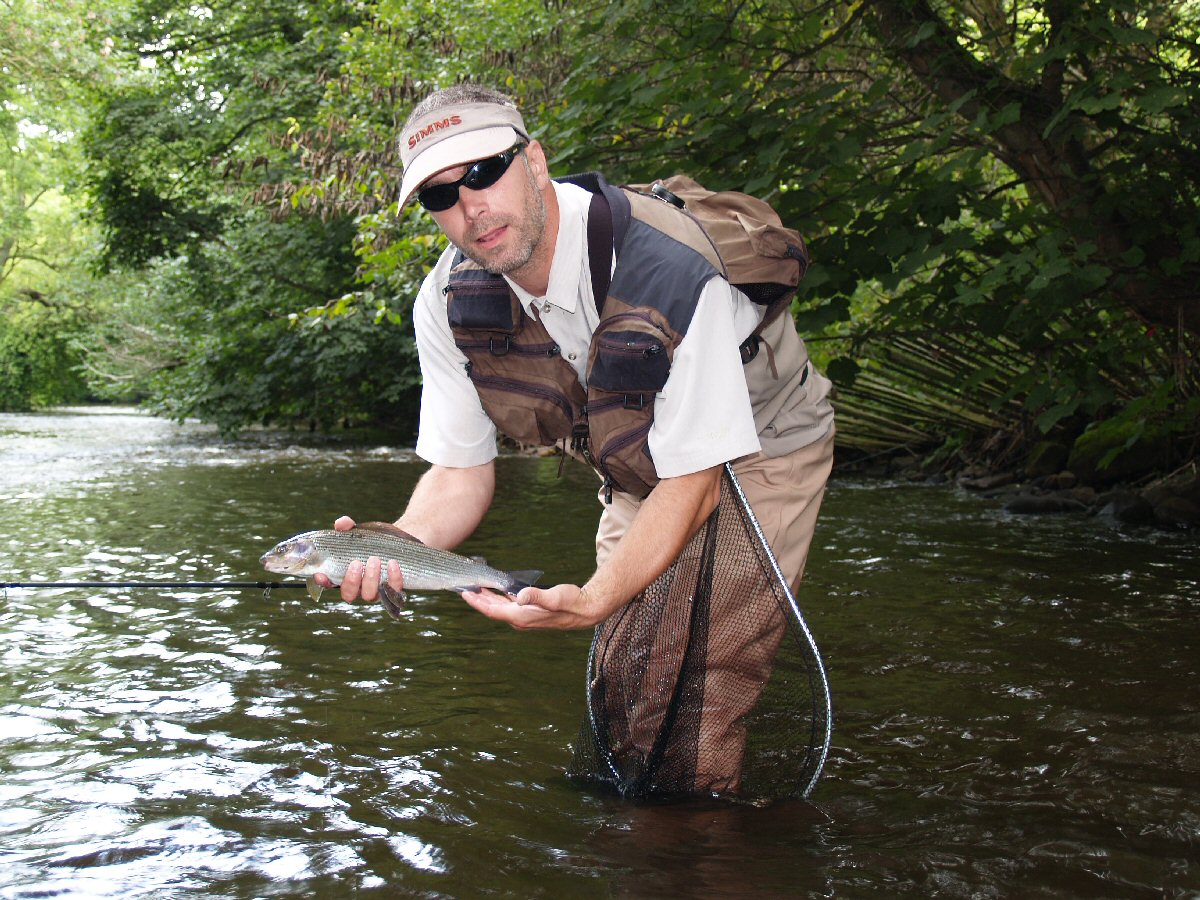 Nice grayling on French Nymph