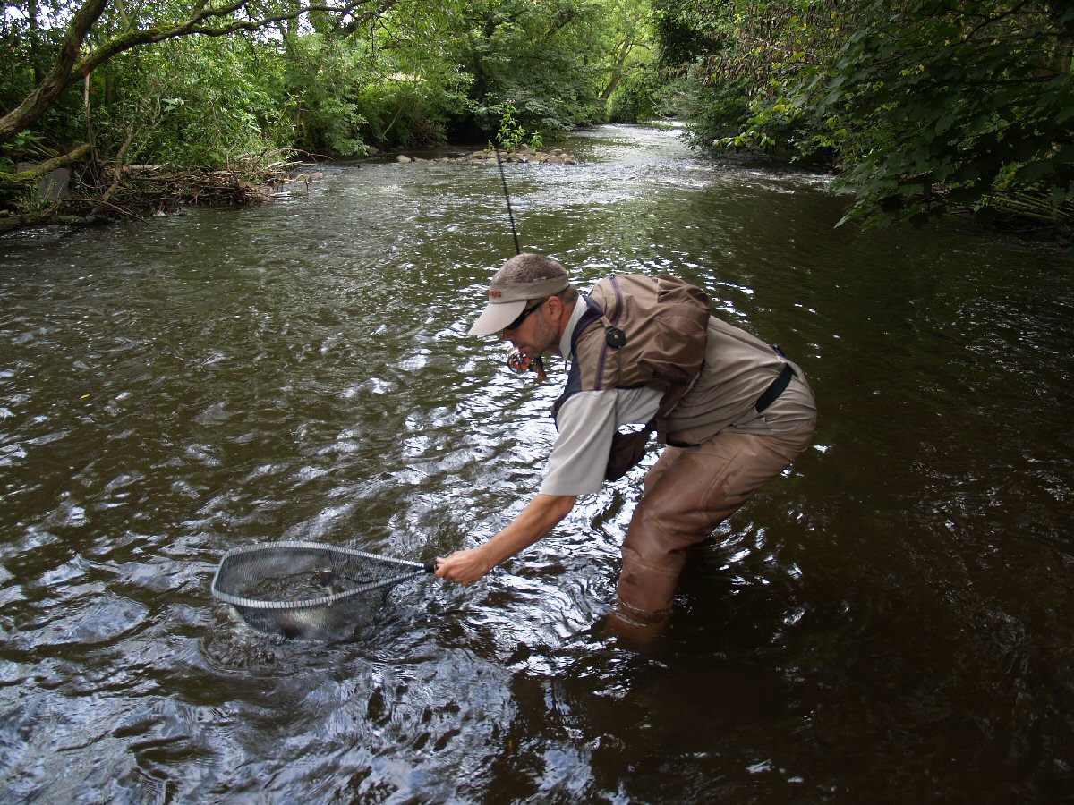 Getting the next grayling into the net