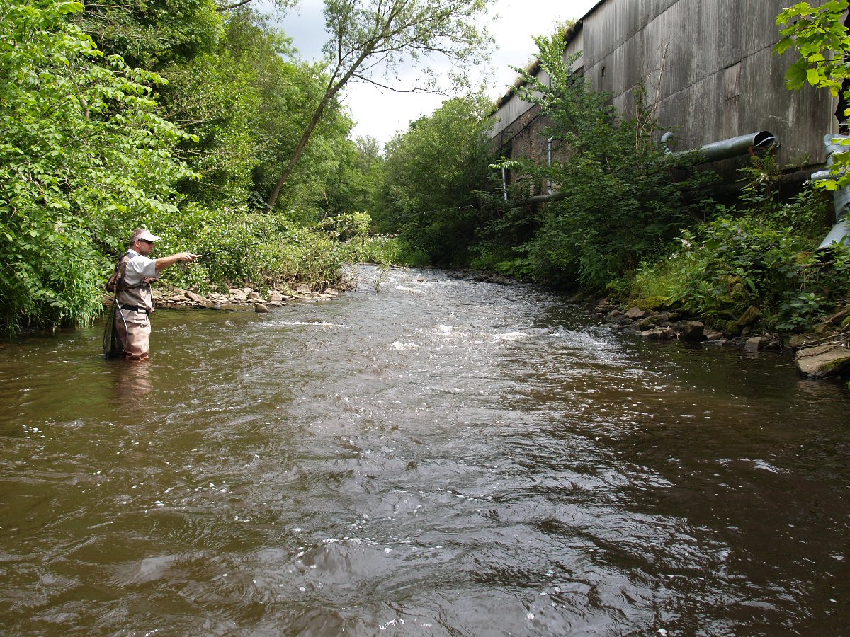Fishing the pool at the far bank, stream in Derbyshire