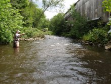 Fishing the pool at the far bank, stream in Derbyshire