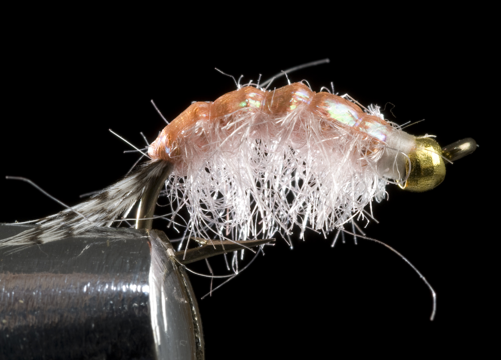 Flies for Aztec trout