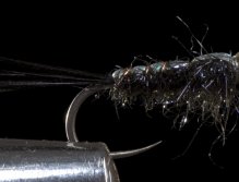 Flies for Aztec trout