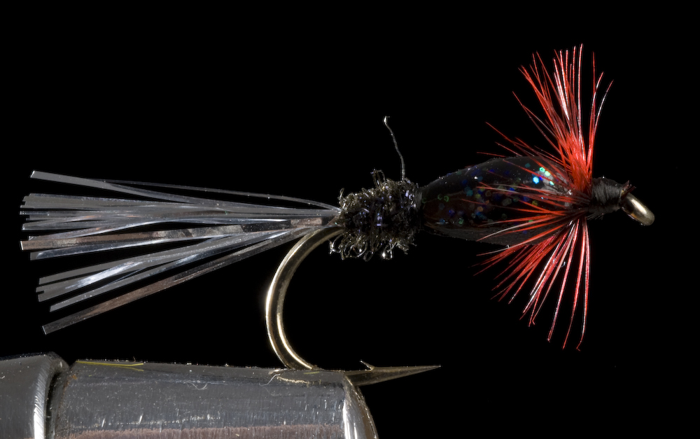 Flies for Aztec trout