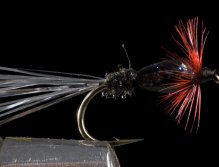 Flies for Aztec trout