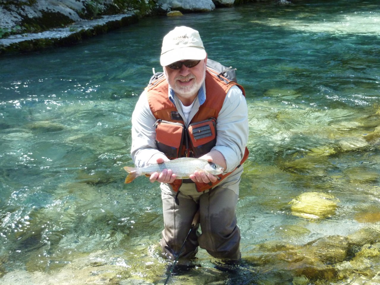 Grayling from Baca river
