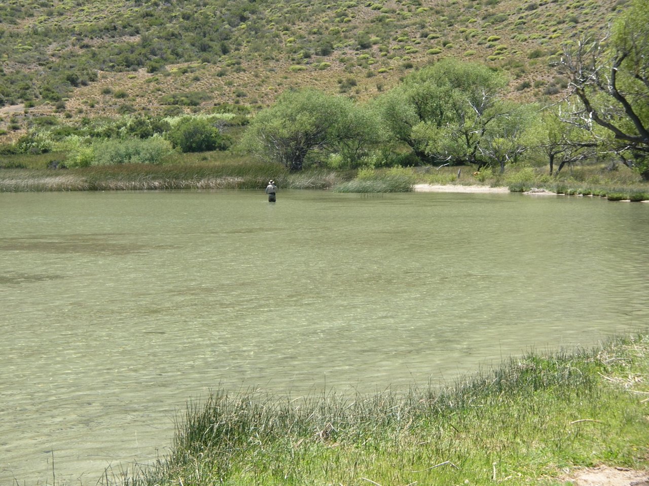 Cruisers are hard!!!