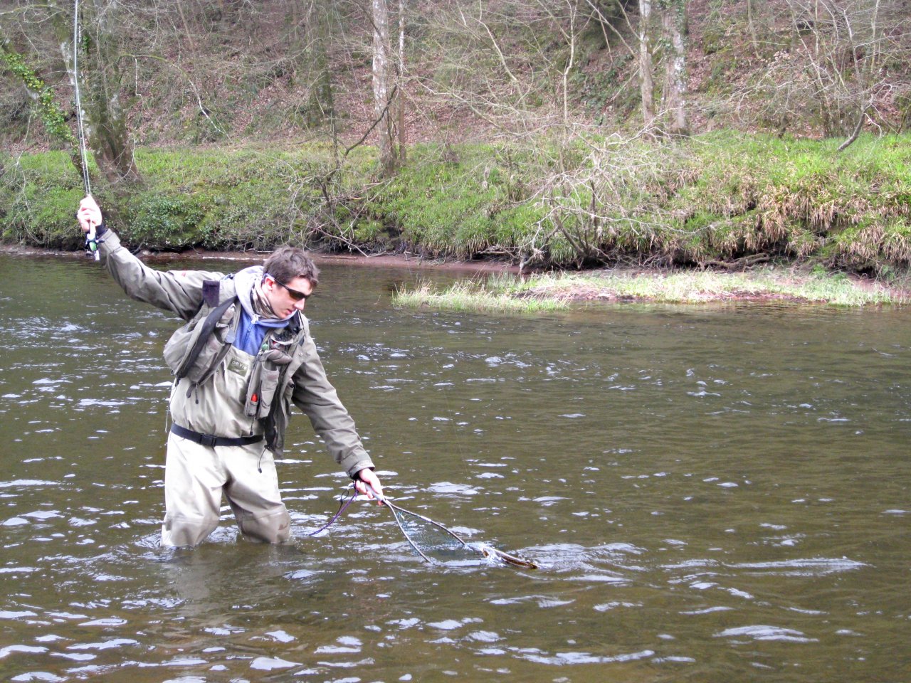 An usk trout comes safely into the net