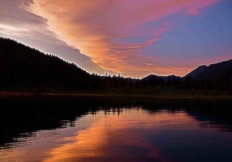 Step into the evening