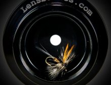 March brown in my lens