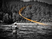 Summertime and living is easy