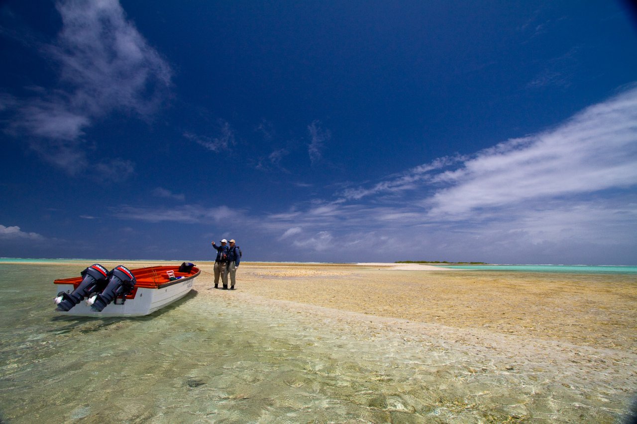 Deciding where to go?