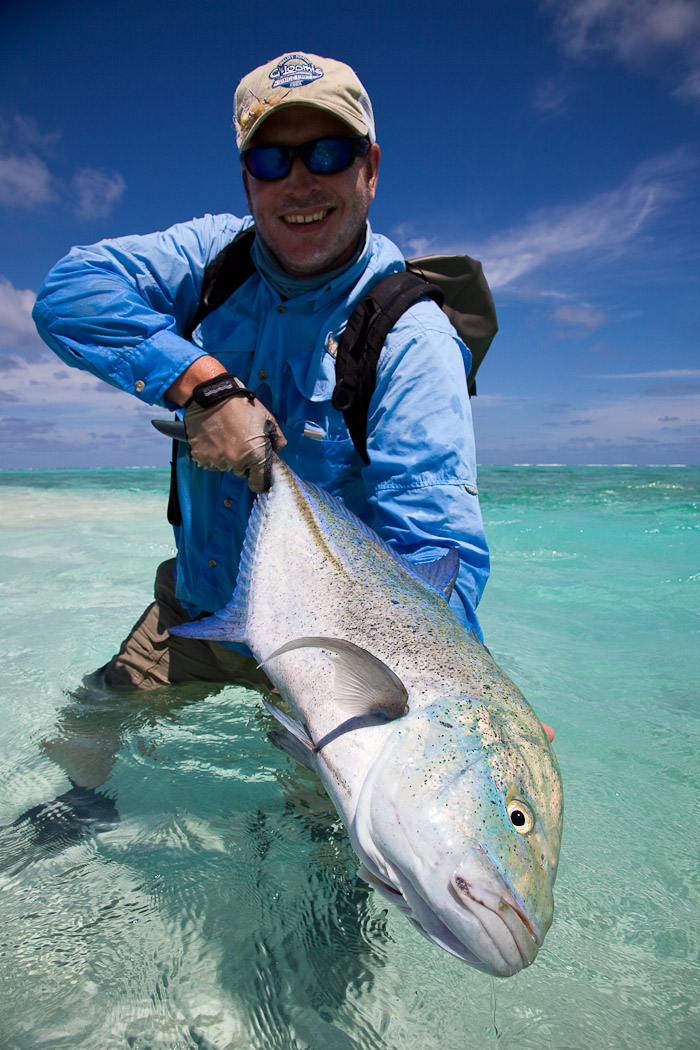 Monster blue fin Trevally