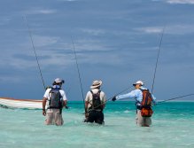 Describing the one that got away