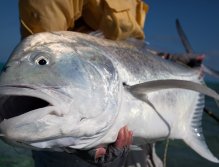 The one that didn’t get away!