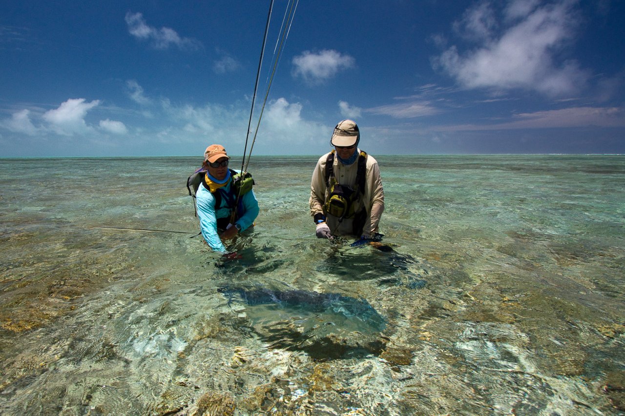 Releasing a monster for another day