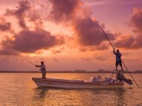 Drift by Confluence Films