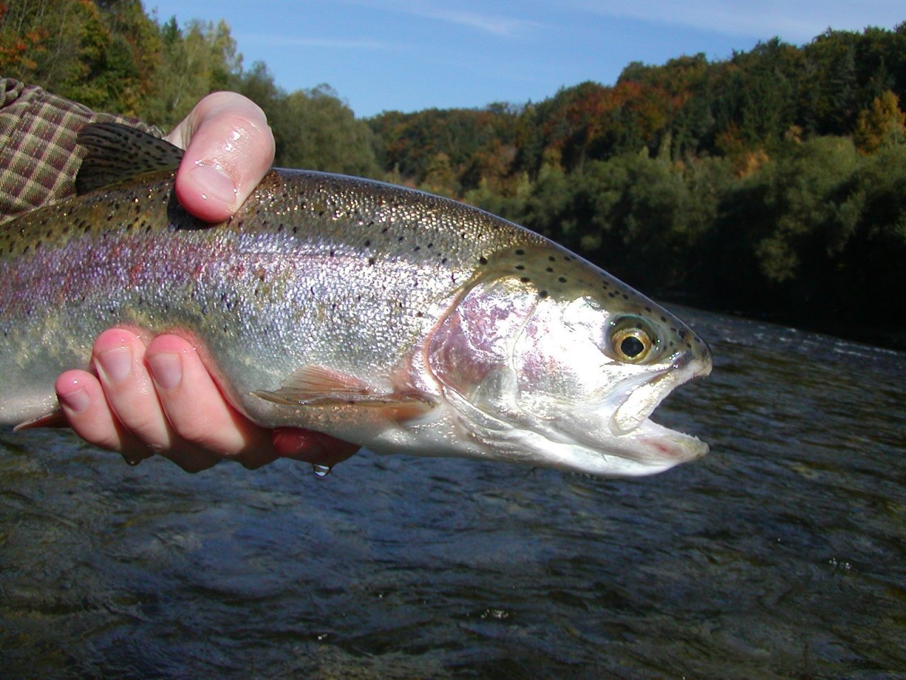 Nice rainbow from Gmundner Traun