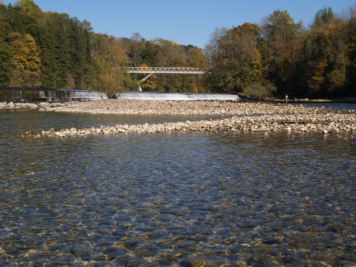 Gmundner Traun in Steyrerm�hl