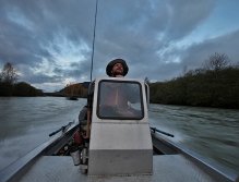 Early Morning Horse Power