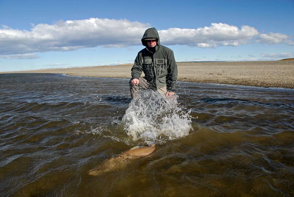 Releasing a large seatrout