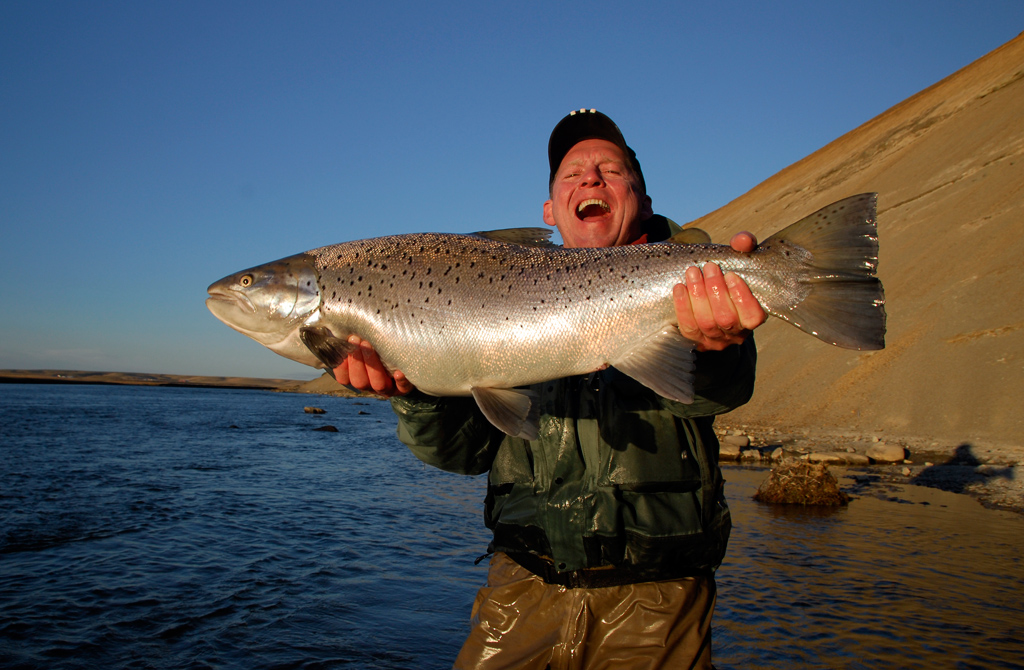 A very fresh an silvery fish caught in the first run of the season