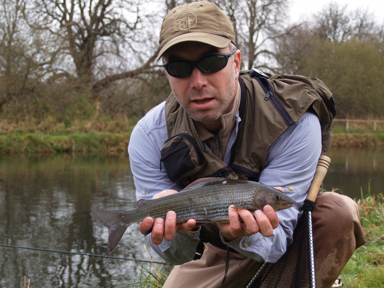 Grayling from river Test