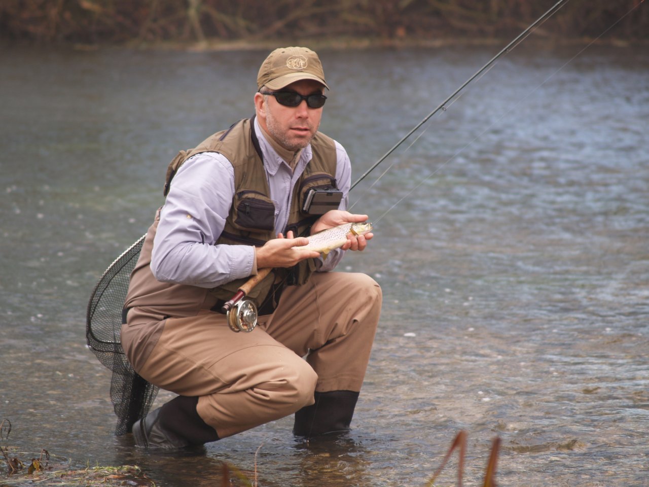 Smaller wild brown trout