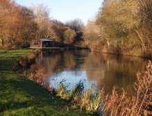 Sunny winter day on the Test