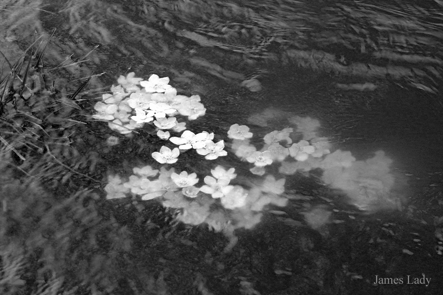  Surviving Spring Flooding