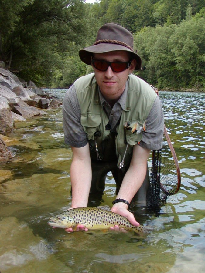 Brown Trout