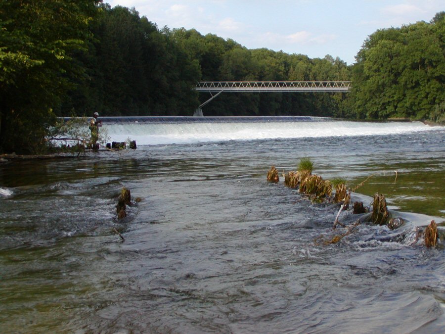 Gmundener Traun in Steyrerm�hl