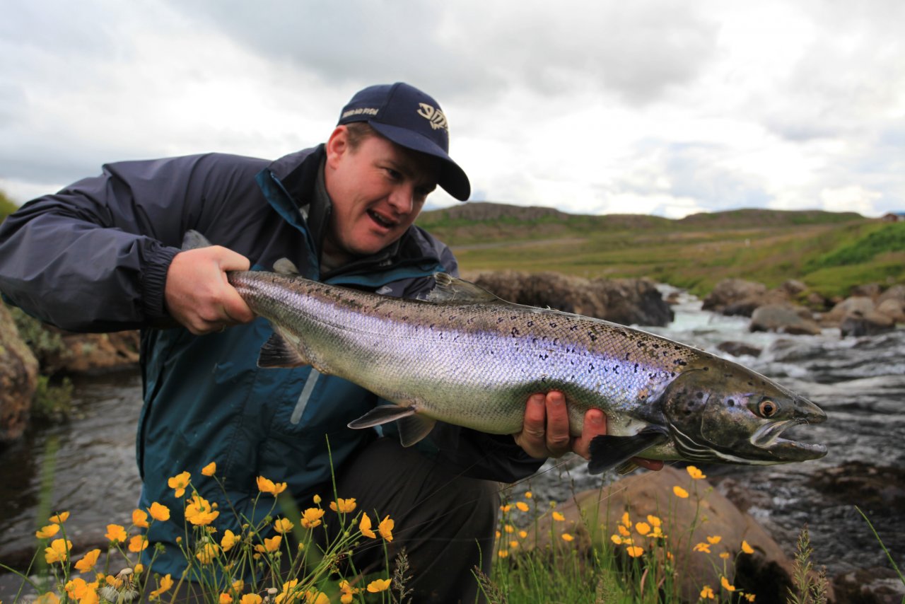 Best salmon of the trip