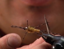 Fly Tying, Dronestone; Trimming down the rubber legs
