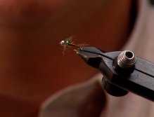 Fly Tying, Blue Wing Olive Nymph; The finished fly