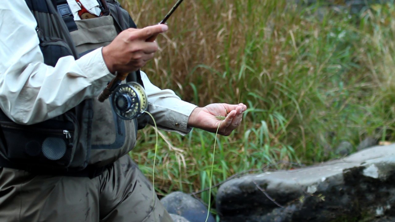 French/Spanish Style, Hand Twist Retrieve; Aaron covers a line management technique