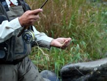 French/Spanish Style, Hand Twist Retrieve; Aaron covers a line management technique
