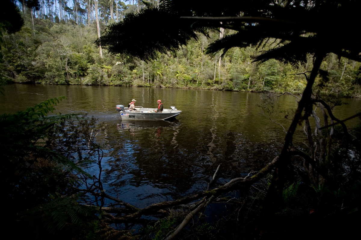 Boat sneaks through the West coast Rainforest
