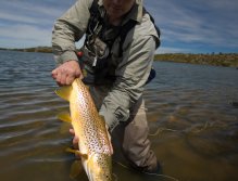 Sight fishing in the Western Lakes
