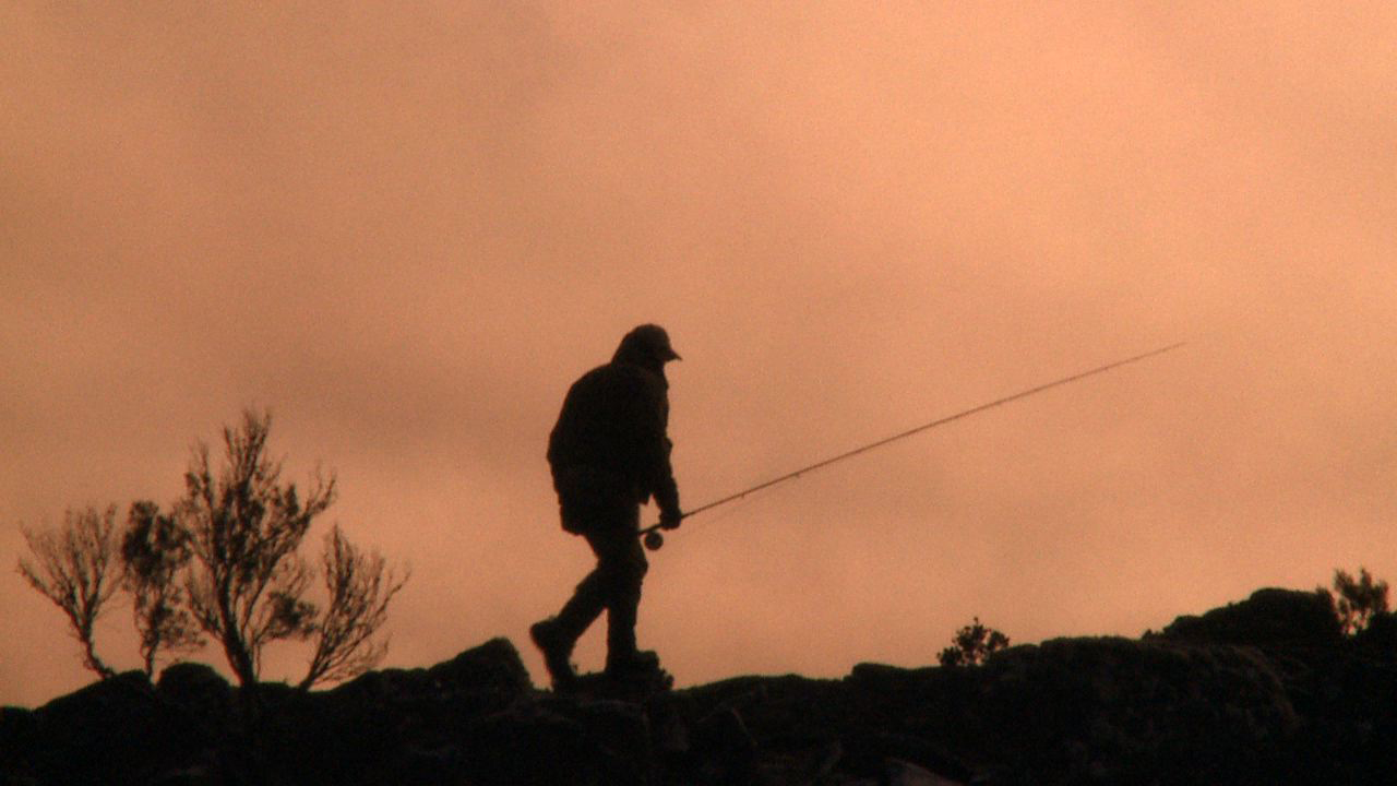 Early bird catches the worms