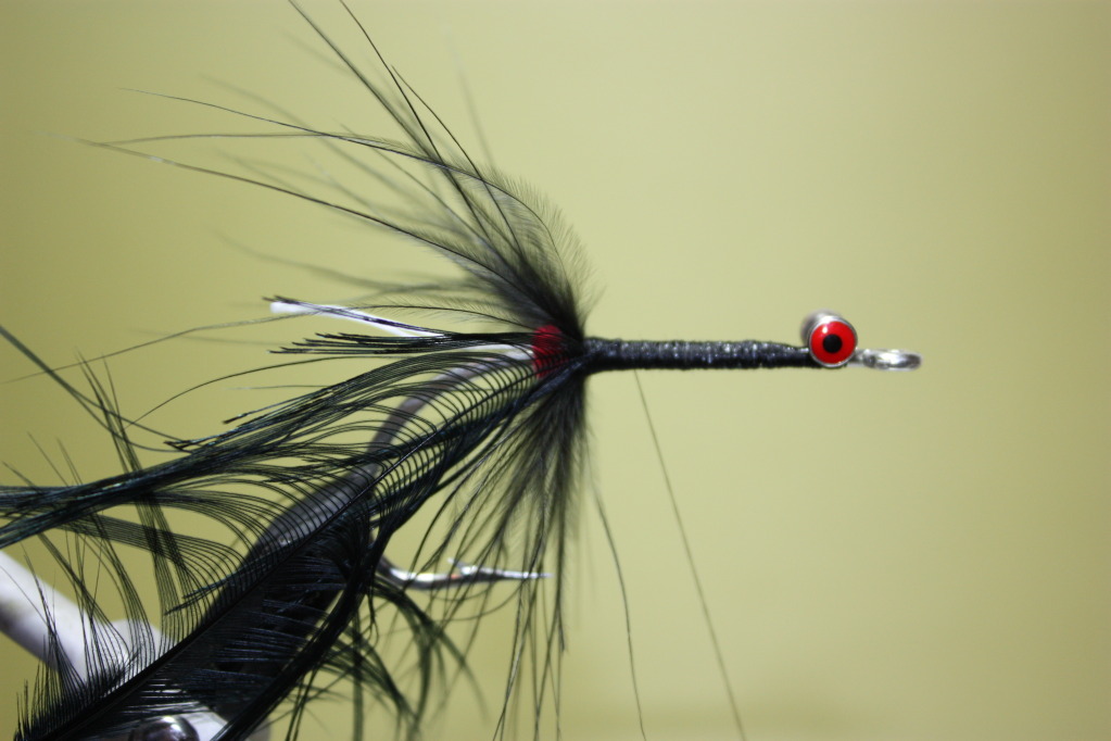 Select a black lady amherst feather.  Tie in by the tip