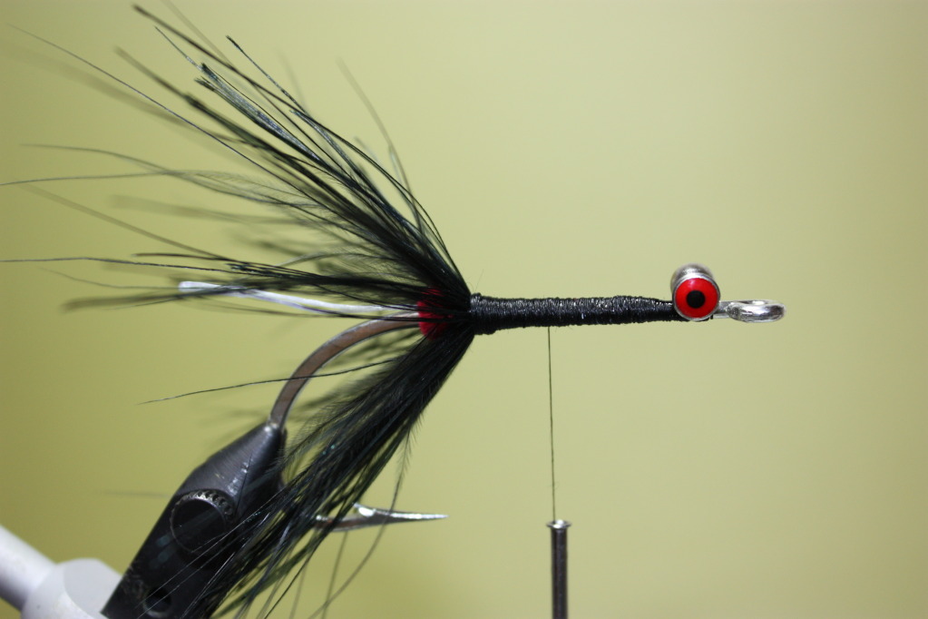 Carefully wrap the hackle making sure you don't trap any fibers