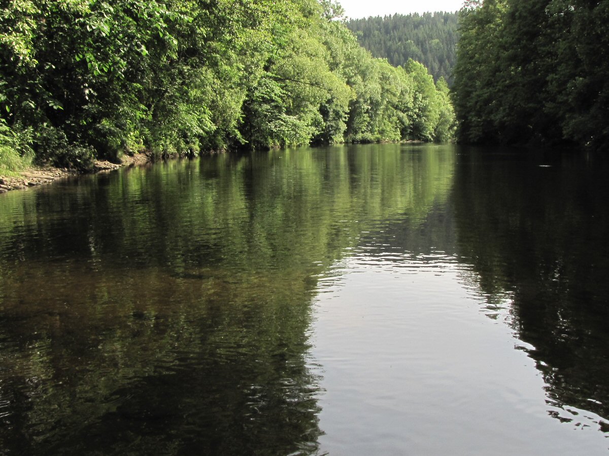 Jizera by Sytova village