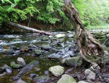 Jizera river following a high-water