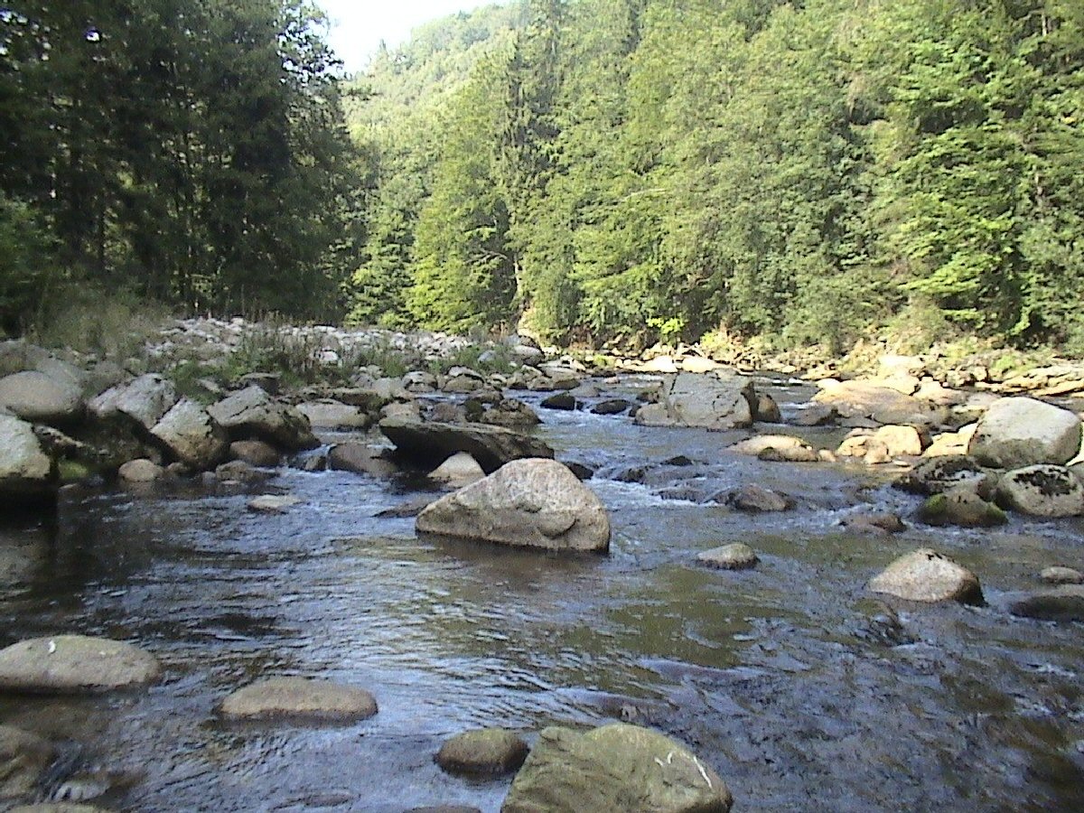 Jizera river below Polubny village