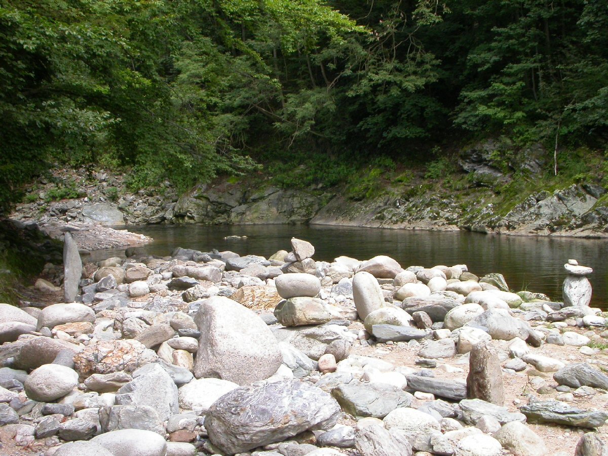 Ideal water for a dry-fly at Jizera river