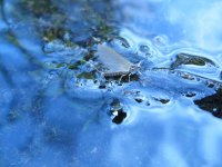 Mukaen "na oko" s nymfou Baant ocsek